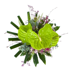 Goedkope Groen Tuin Geluk Winkel -Goedkope Groen Tuin Geluk Winkel boeket anthurium boeketten 2 2