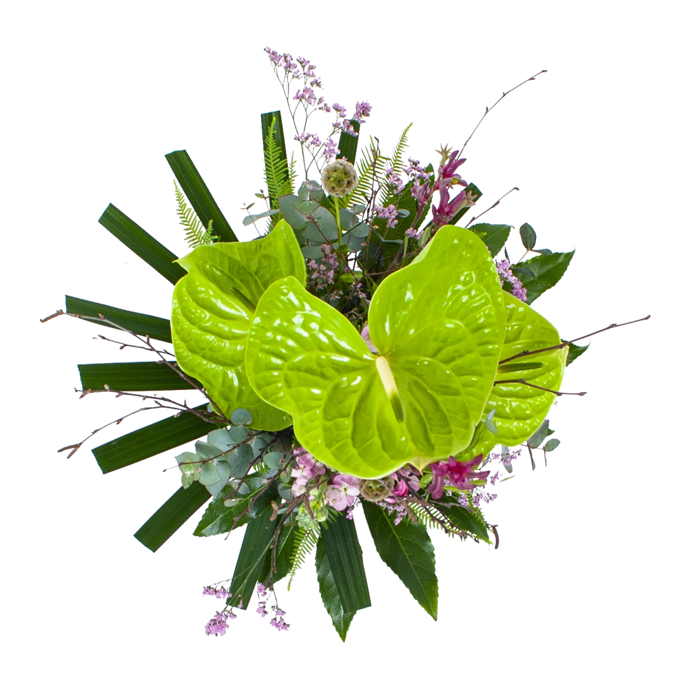 Boeket Anthurium Middel 4 Boeket Anthurium Middel - Afbeelding 2
