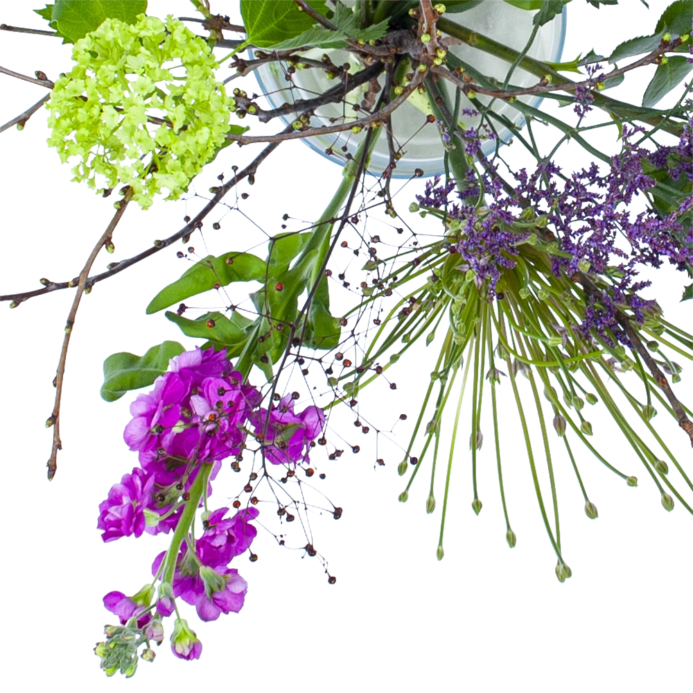 Boeket Biezen Middel 4 Boeket Biezen Middel - Afbeelding 2