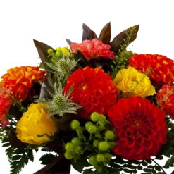 Boeket Dahlia Groot 10 Boeket Dahlia Groot -Goedkope Groen Tuin Geluk Winkel boeket dahlia boeketten 3 3