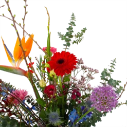 Goedkope Groen Tuin Geluk Winkel -Goedkope Groen Tuin Geluk Winkel boeket deluxe liefs mij boeketten 2 2