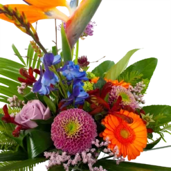 Goedkope Groen Tuin Geluk Winkel -Goedkope Groen Tuin Geluk Winkel boeket deluxe special voor jou boeketten 2 2