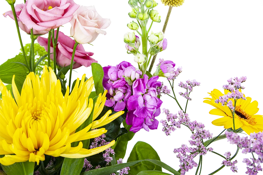 Boeket Eline Groot 5 Boeket Eline Groot - Afbeelding 3