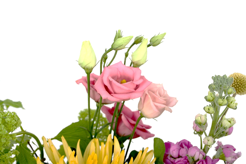 Boeket Eline Groot 6 Boeket Eline Groot - Afbeelding 4