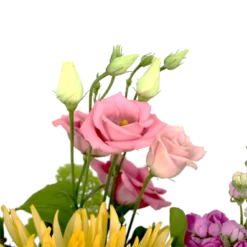 Boeket Eline Klein -Goedkope Groen Tuin Geluk Winkel boeket eline boeketten 4