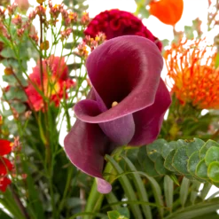 Boeket Herfst Warmte Klein -Goedkope Groen Tuin Geluk Winkel boeket herfst warmte klein boeketten 4