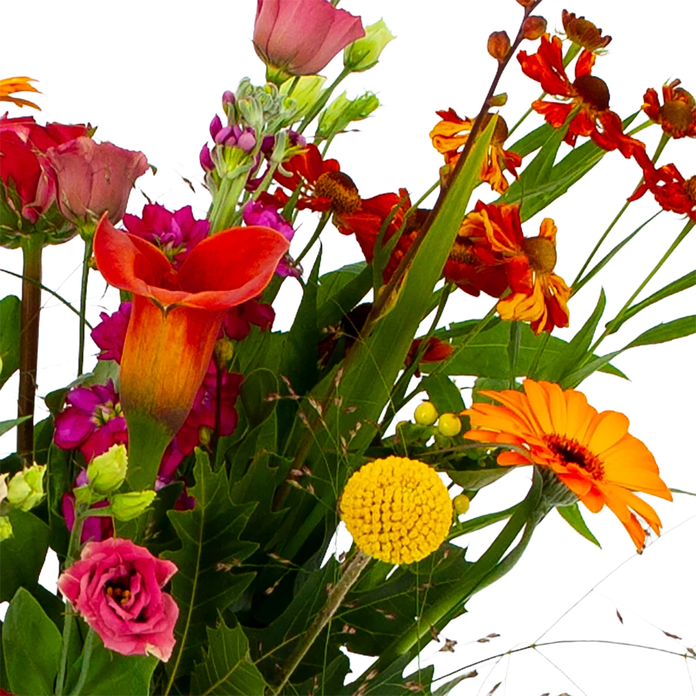 Boeket Hippe Herfst Middel 6 Boeket Hippe Herfst Middel - Afbeelding 4