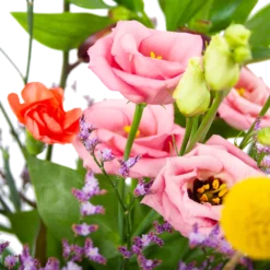 Boeket Kleurrijk Geplukt Middel 9 Boeket Kleurrijk Geplukt Middel -Goedkope Groen Tuin Geluk Winkel boeket kleurrijk geplukt boeketten 3 2