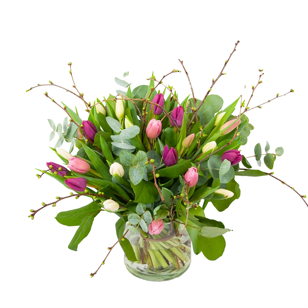 Boeket Kleurrijke Tulp Middel 3 Boeket Kleurrijke Tulp Middel