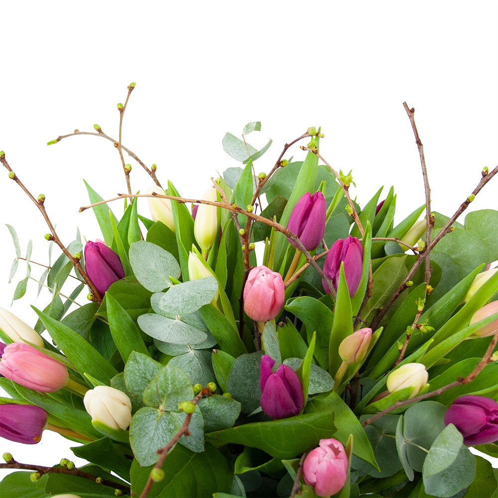 Boeket Kleurrijke Tulp Middel 4 Boeket Kleurrijke Tulp Middel - Afbeelding 2