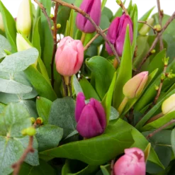 Boeket Kleurrijke Tulp Middel 9 Boeket Kleurrijke Tulp Middel -Goedkope Groen Tuin Geluk Winkel boeket kleurrijke tulp boeketten 3 2
