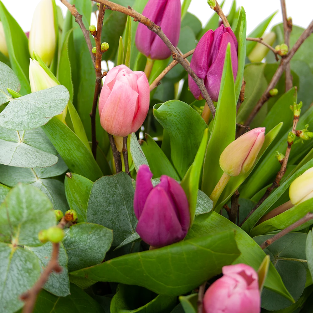 Boeket Kleurrijke Tulp Middel 5 Boeket Kleurrijke Tulp Middel - Afbeelding 3