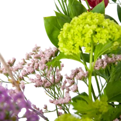 Boeket Kleurrijke Verrassing Klein 8 Boeket Kleurrijke Verrassing Klein -Goedkope Groen Tuin Geluk Winkel boeket kleurrijke verrassing boeketten 2 2