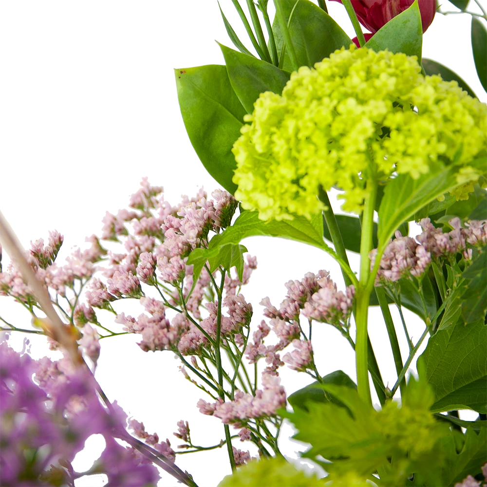 Boeket Kleurrijke Verrassing Klein 4 Boeket Kleurrijke Verrassing Klein - Afbeelding 2