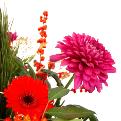 Boeket Liefdevolle Kerst Middel 10 Boeket Liefdevolle Kerst Middel -Goedkope Groen Tuin Geluk Winkel boeket liefdevolle kerst boeketten 3 1 2