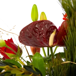 Boeket Liefdevolle Kerst Middel 11 Boeket Liefdevolle Kerst Middel -Goedkope Groen Tuin Geluk Winkel boeket liefdevolle kerst boeketten 4 1 2