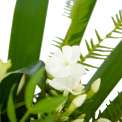 Boeket Liefdevolle Winter Middel -Goedkope Groen Tuin Geluk Winkel boeket liefdevolle winter boeketten 3 2