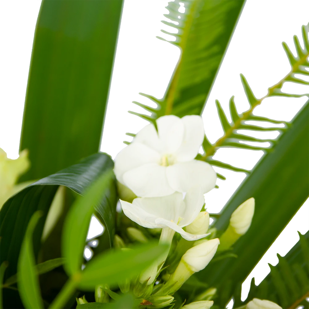 Boeket Liefdevolle Winter Groot 5 Boeket Liefdevolle Winter Groot - Afbeelding 3