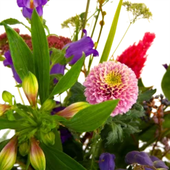 Boeket Paarse Passie Klein -Goedkope Groen Tuin Geluk Winkel boeket paarse passie klein boeketten 4