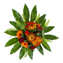 Boeket Piet Klein 8 Boeket Piet Klein -Goedkope Groen Tuin Geluk Winkel boeket piet boeketten 2 1