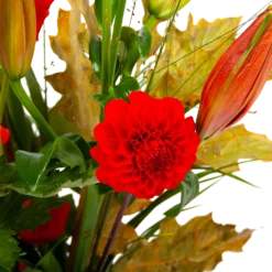 Boeket Pluim Van Het Najaar Klein 10 Boeket Pluim Van Het Najaar Klein -Goedkope Groen Tuin Geluk Winkel boeket pluim van het najaar klein boeketten 3