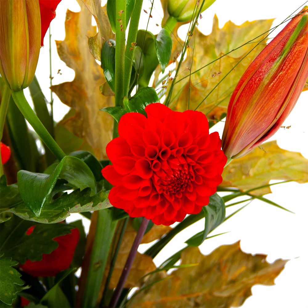 Boeket Pluim Van Het Najaar Klein 5 Boeket Pluim Van Het Najaar Klein - Afbeelding 3