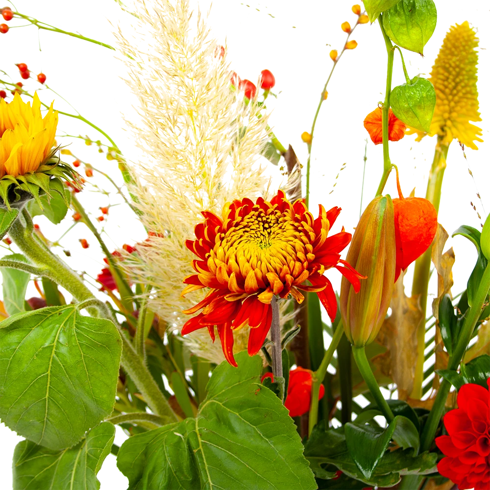 Boeket Pluim Van Het Najaar Klein 6 Boeket Pluim Van Het Najaar Klein - Afbeelding 4