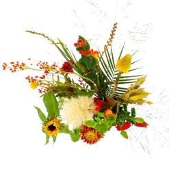 Boeket Pluim Van Het Najaar Middel 9 Boeket Pluim Van Het Najaar Middel -Goedkope Groen Tuin Geluk Winkel boeket pluim van het najaar middel boeketten 2