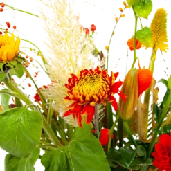 Boeket Pluim Van Het Najaar Middel 11 Boeket Pluim Van Het Najaar Middel -Goedkope Groen Tuin Geluk Winkel boeket pluim van het najaar middel boeketten 4