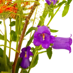 Boeket Plukgeluk Groot 11 Boeket Plukgeluk Groot -Goedkope Groen Tuin Geluk Winkel boeket plukgeluk groot boeketten 4