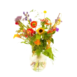 Goedkope Groen Tuin Geluk Winkel 9 Boeket Plukgeluk Klein