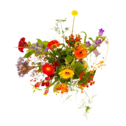 Goedkope Groen Tuin Geluk Winkel -Goedkope Groen Tuin Geluk Winkel boeket plukgeluk klein boeketten 2