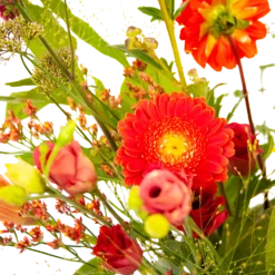 Boeket Plukgeluk Klein -Goedkope Groen Tuin Geluk Winkel boeket plukgeluk klein boeketten 3