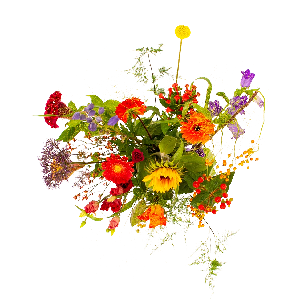 Boeket Plukgeluk Middel 4 Boeket Plukgeluk Middel - Afbeelding 2