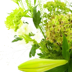 Boeket Puur Natuur Klein 10 Boeket Puur Natuur Klein -Goedkope Groen Tuin Geluk Winkel boeket puur natuur boeketten 3 1 1