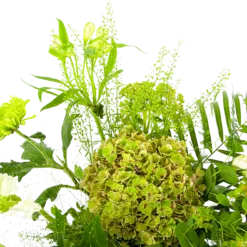 Boeket Puur Natuur Klein 11 Boeket Puur Natuur Klein -Goedkope Groen Tuin Geluk Winkel boeket puur natuur boeketten 4 1 1