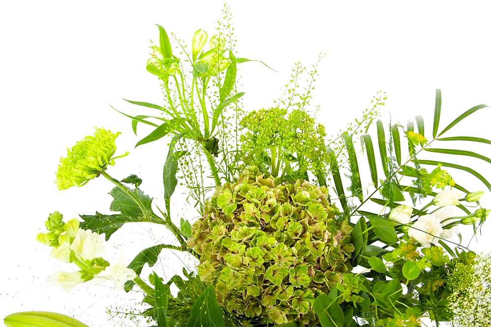 Boeket Puur Natuur Klein 6 Boeket Puur Natuur Klein - Afbeelding 4