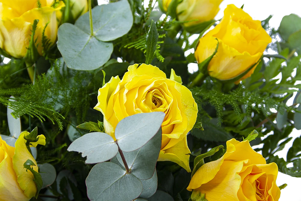 Boeket Rosa Geel Middel 5 Boeket Rosa Geel Middel - Afbeelding 3