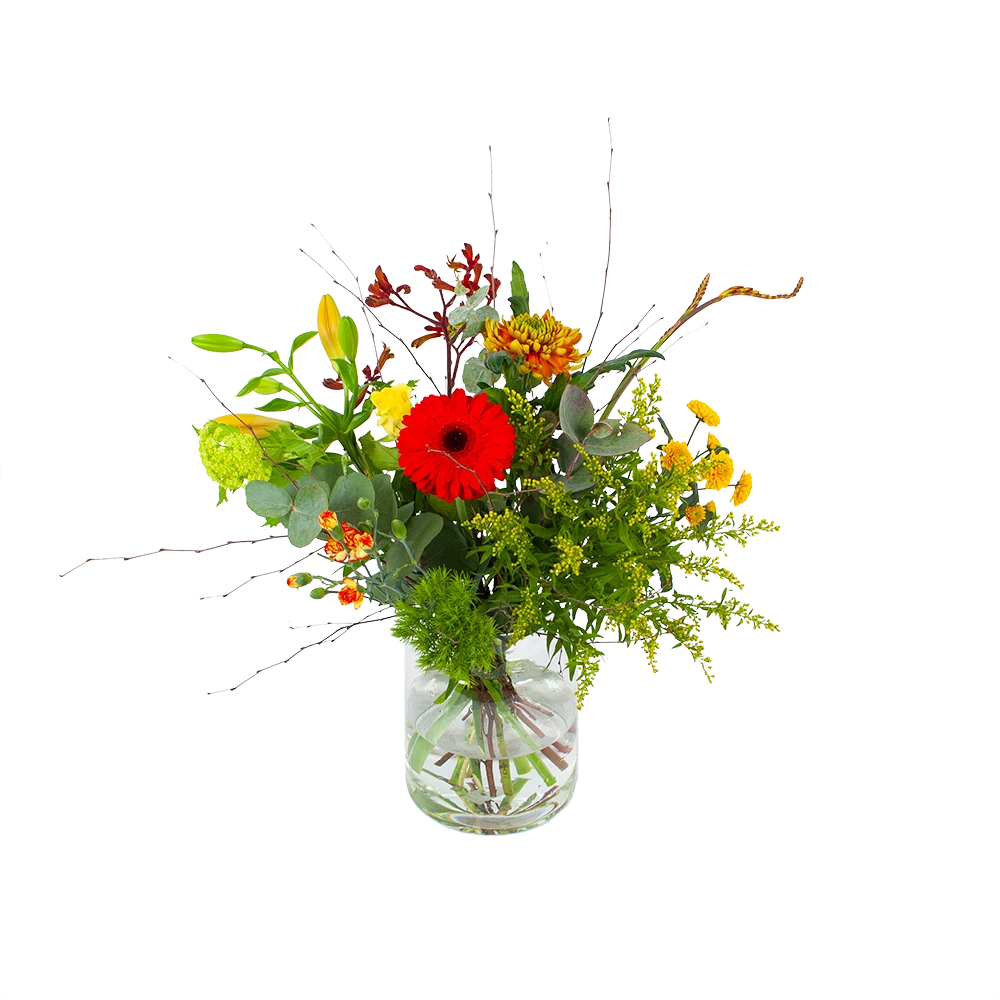 Boeket Speciale Verrassing Groot 3 Boeket Speciale Verrassing Groot