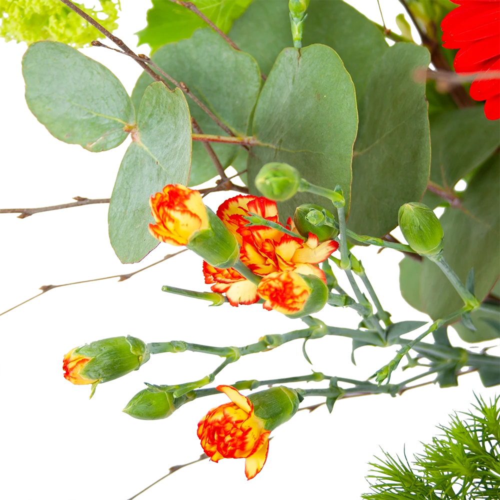 Boeket Speciale Verrassing Groot 4 Boeket Speciale Verrassing Groot - Afbeelding 2