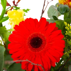 Boeket Speciale Verrassing Groot 9 Boeket Speciale Verrassing Groot -Goedkope Groen Tuin Geluk Winkel boeket speciale verrassing boeketten 3 2