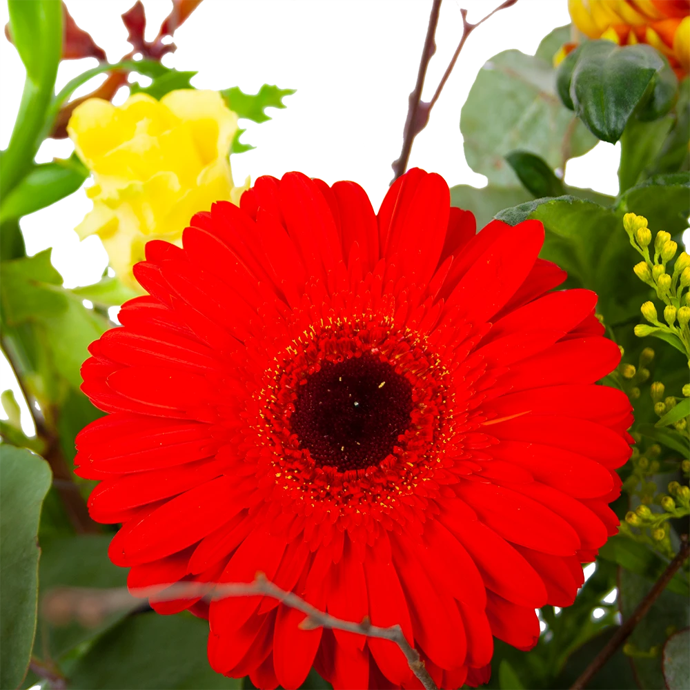 Boeket Speciale Verrassing Groot 5 Boeket Speciale Verrassing Groot - Afbeelding 3