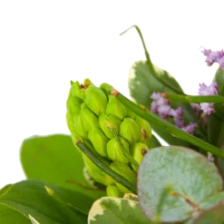 Boeket Vrolijk Seizoen Klein -Goedkope Groen Tuin Geluk Winkel boeket vrolijk seizoen boeketten 3 1