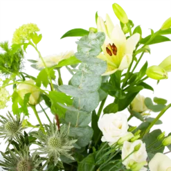 Boeket Wit Gebaar Klein -Goedkope Groen Tuin Geluk Winkel boeket wit gebaar boeketten 3 2