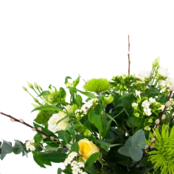 Boeket Witte Dagen Groot -Goedkope Groen Tuin Geluk Winkel boeket witte dagen boeketten 3 1 1