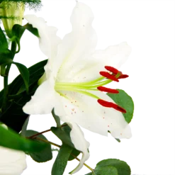 Boeket Witte Winter Klein -Goedkope Groen Tuin Geluk Winkel boeket witte winter boeketten 4