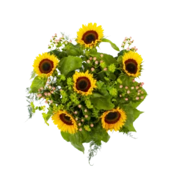 Boeket Zonnestraal Klein -Goedkope Groen Tuin Geluk Winkel boeket zonnestraal boeketten 2 3