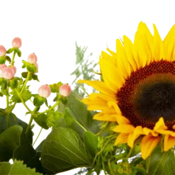 Boeket Zonnestraal Groot -Goedkope Groen Tuin Geluk Winkel boeket zonnestraal boeketten 4 3 1