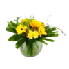 Boeket Zonnetje Klein -Goedkope Groen Tuin Geluk Winkel boeket zonnetje boeketten 1 1 1