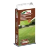 DCM Gazonmeststof Najaar - 10kg - Gazonmeststof -Goedkope Groen Tuin Geluk Winkel dcm gazonmeststof najaar 10kg gazonmest 1 18